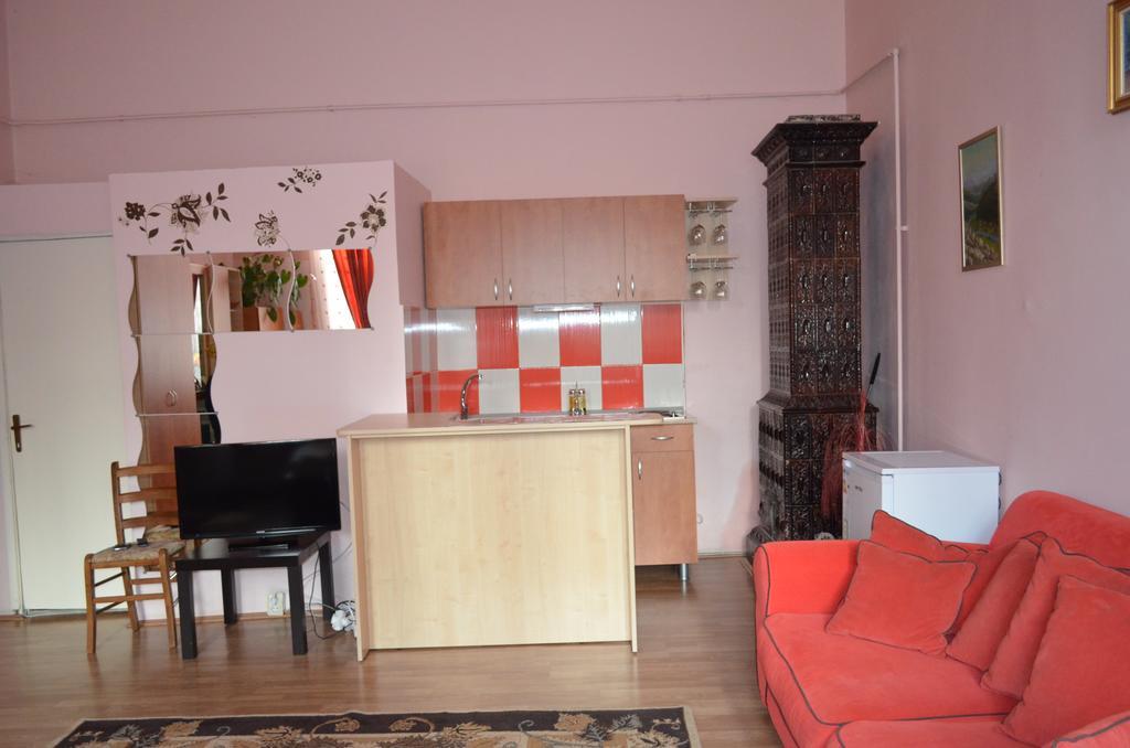 Cosy Studio Leilighet Cluj-Napoca Eksteriør bilde